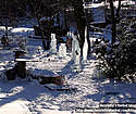 Part of the contest area, with a few sculptures.