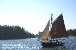 A small sailboat with strange rigging and brown sails.
