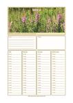 Calendar 2011, weekly 1.
