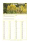 Calendar 2013, weekly 1.