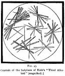 Fig. 43. Crystals of the Sulphate