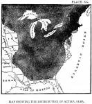 Plate 20. Map showing the distribution of Actaea a...
