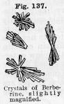 Fig. 137. Crystals of Berberine, slightly magnified.