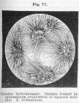 Fig. 77. Cocaine hydrobromate.