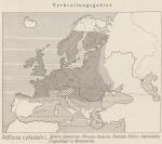 Karte: Aethusa Cynapium