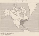 Karte: Arisaema Atrorubens