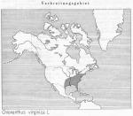 Karte 098. Chionanthus virginica.