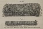 Fig. 273-274. Large and Smaller Bundles of Hondura...