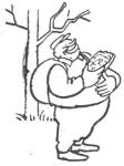 Kuva 28. Evästahna.