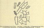 Fig. 78. Powdered Aconite Tuber.