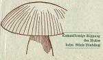 Fig. 11. Kammförmige Rippung