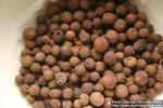 Photo: Pimenta dioica 2.